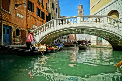 Фото дня: Из-за карантина вода в каналах Венеции стала прозрачной