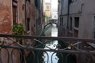 Венеция ушла на метр под воду (фото) | Новости Мира на «Думской»