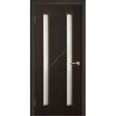 Межкомнатные двери Венге или черного цвета | Отличия