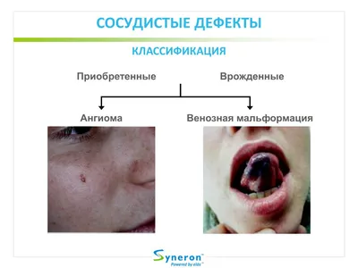 Мачильская Маргарита — «Звезда Милосердия»