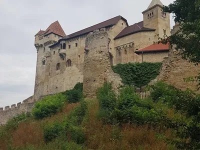 Венский лес (Viena Woods) (Lasselsberger Ceramics) купить в  Санкт-Петербурге по цене 0 руб /