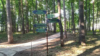 Венский лес (в мини-группе) от Tezeks