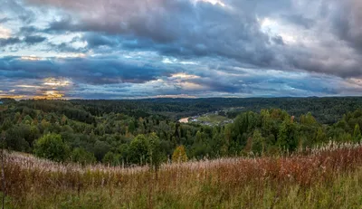 Вепсский лес