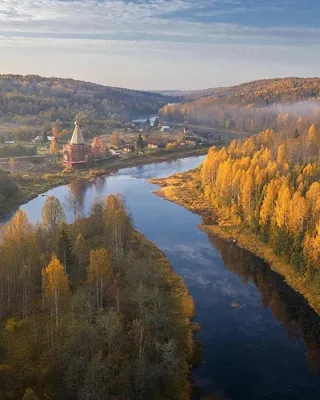 Вепсский лес - Телеканал «Моя Планета»