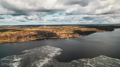 Курбинская тропа в природном парке «Вепсский лес» | Hike Russia! | Дзен