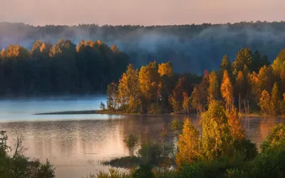 Вепсский лес | Санкт-Петербург Центр