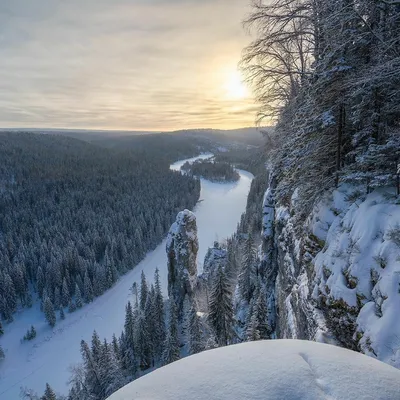 Вепсский лес в Ленинградской области - 79 фото