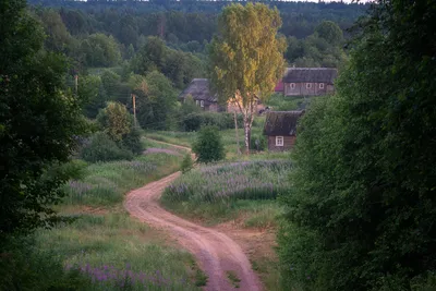 📍ВЕПССКИЙ ЛЕС Вот недавно вернулись в нашего тура по Подпорожскому кольцу  и Вепсскому лесу❤️ ⠀ Как всегда, после тура такие приятные… | Instagram