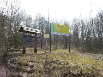 Колдуны Вепсского леса: заповедные места на окраине Ленинградской области