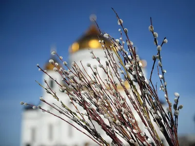 Вербное воскресенье: смысл и традиции праздника