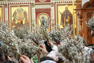Вербное Воскресенье 2023 в Волжском: традиции, история и запреты