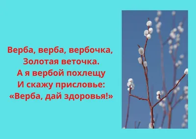 Вербное воскресенье: какого числа в 2023 году, основные традиции, что  нельзя делать в этот день