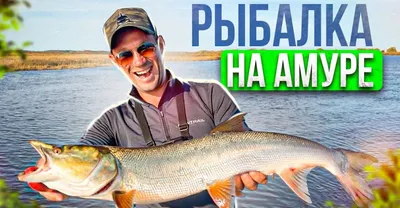 Верхогляд обыкновенный - В - Реальная русская рыбалка на 1505 рыб - World  of Fishers