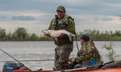 Верхогляд х/к (Артикул. НОВИНКА)