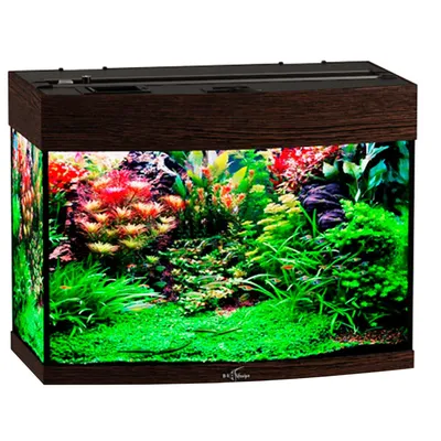 Террариум стеклянный - Exo-Terra Natural Terrarium - 45 x 45 x 90 см (серия  Small) - арт.: PT2606