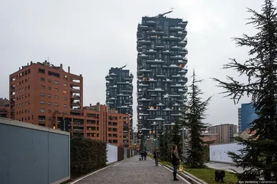 Квартира в Милане в небоскребе «Вертикальный лес»: работа дизайнера Майка  Шилова | Admagazine | AD Magazine