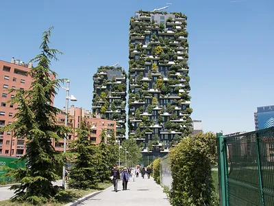 Кедровая башня»: в Лозанне появится жилая высотка с «вертикальным лесом» на  фасадах