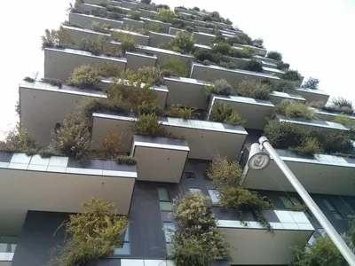 Небоскреб и лес в одном здании: Bosco Verticale — миланское чудо