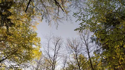 Весеннее Небо С Белыми Светлыми Облаками — стоковые фотографии и другие  картинки Атмосфера события - Атмосфера события, Без людей, Белый - iStock