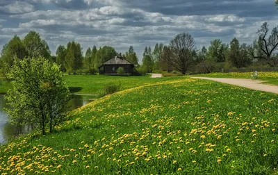 Деревенская Весна (59 фото) - 59 фото