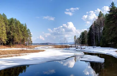 Легкий весенний пейзаж (больше фото!) - drawpics.ru