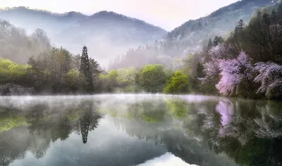 Обои на рабочий стол Весенний пейзаж, фотограф KIM SUK EUN, обои для рабочего  стола, скачать обои, обои бесплатно