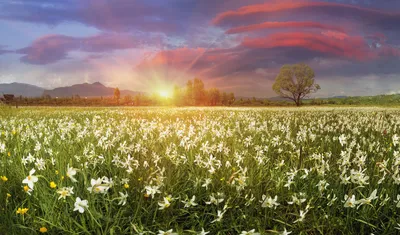 Весенний рассвет. Фотограф Толяныч