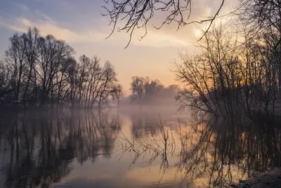 Фото Plantation Природа весенние Поля Рассветы и закаты