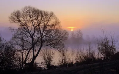весенний рассвет у болотца :: Elena Wymann – Социальная сеть ФотоКто