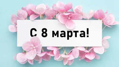 Дарите весну: Торты к 8 марта для любимых женщин - PrimaMedia.ru