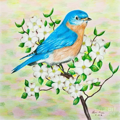 Весна, птицы в парке г.Чайковский | FlyChaik | Дзен