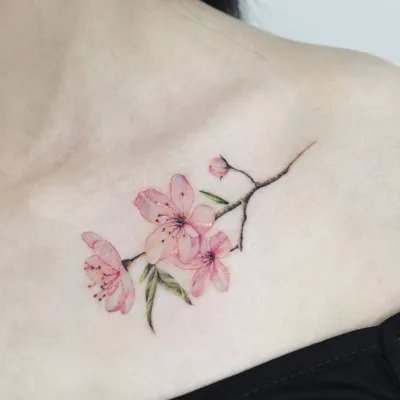 татуировка ветка сакуры: 10 тыс изображений найдено в Яндекс.Картинках |  Cherry blossom tattoo, Blossom tattoo, Cherry blossom tattoo meaning