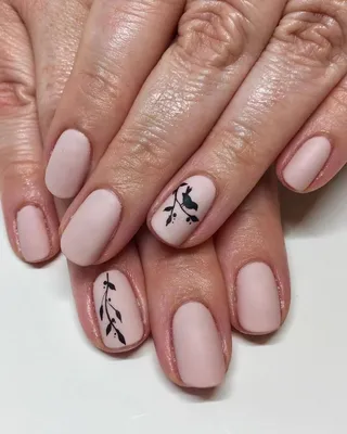 Накладные ногти Beautiful Nail френч, ветки, форма квадрат, средние, 24 шт  - купити за найкращою ціною в Україні ➤ KittyShop.com.ua