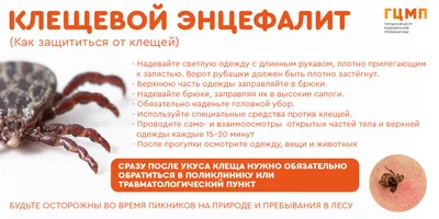 Словарик вакцинации: защищают ли прививки, поставленные в детстве, всю  жизнь — Нож