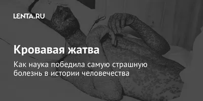 0,75 мл/1 мл/2 мл ветеринарный непрерывный Регулируемый количественный  металлический шприц для вакцинации | AliExpress