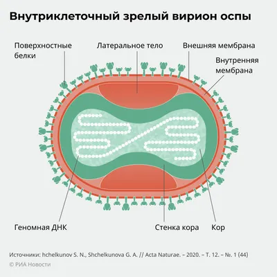 Предисловие