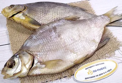 Вяленый лещ - Fishop - магазин рыбы и морепродуктов