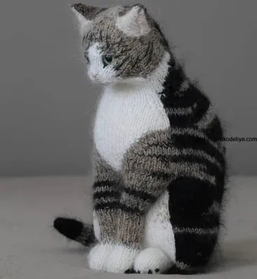 Пушистый серый кот