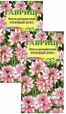 Вязель | Лекарственное растение - вязель Название этого растения произошло  от лат. сorona – венец, по сходству соцветия с венком. Название вязель  получил... | By Flower Power. Цветы - это символ красоты | Facebook