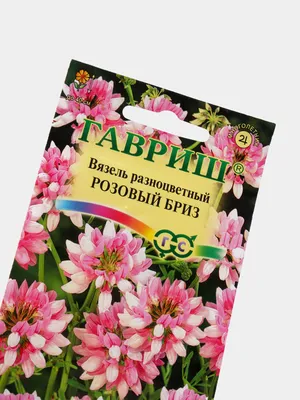 Вязель разноцветный (Coronilla varia L.)