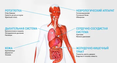 Все о пищевой аллергиии