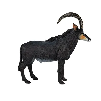 Найденную в Крыму древнюю антилопу назвали в честь Тавриды