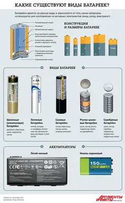 Какие существуют виды батареек? Инфографика | Инфографика | АиФ Аргументы и  факты в Беларуси