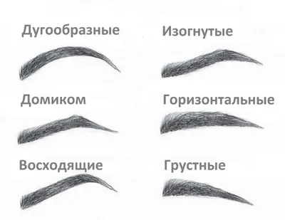 Виды бровей: восходящие, длинные, вразлет, горизонтальные, редкие,  натуральные, моно, фото и видео