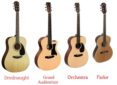Типы акустических гитар: разновидности корпуса