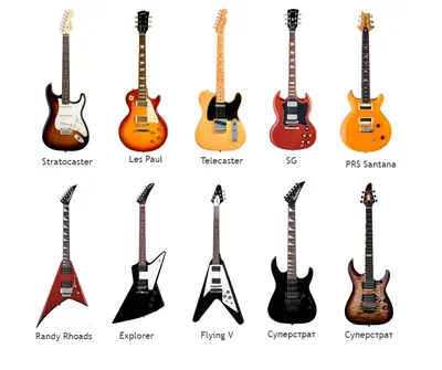 Какие бывают гитары