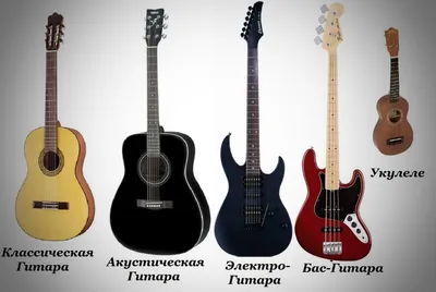 Статьи и обзоры Виды форм электрогитар - интернет-магазин музыкальных  инструментов и оборудования hitonline.ua