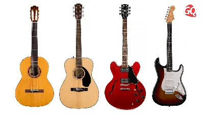 Формы и виды гитар. Просто и наглядно – Блог Романа Стеценко