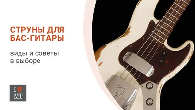 Как выбрать гитару под свой жанр? | Статьи и обзоры на Струнки.ру