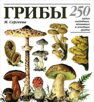 Книга Грибы. 250 видов съедобных, ядовитых и лечебных грибов - купить в  Торговый Дом БММ, цена на Мегамаркет